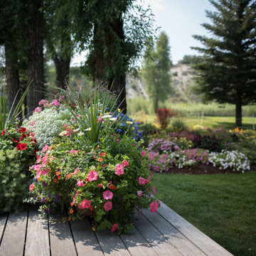 Design - Build Landscape Blue Valley Ranch Landscaping