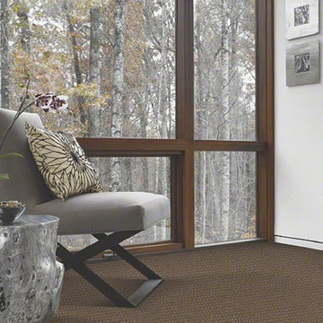 Patterned Carpet