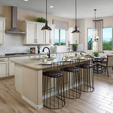 Delaney model home in Arizona