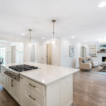Kitchen Remodel - Open to living room/dining room