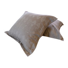 Throw Pillows