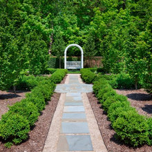 Bench/arbour Feature