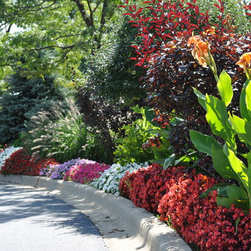 Annual Flowers