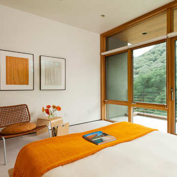 Sunol Modern Residence