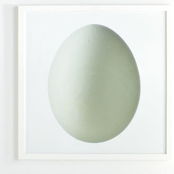 Bird's Egg Wall Art - Kiwi - Artwork