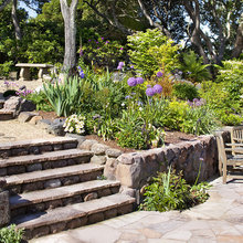 Landscape ideas