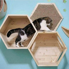 Котики