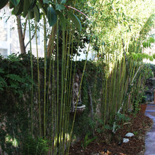 WALKWAYS