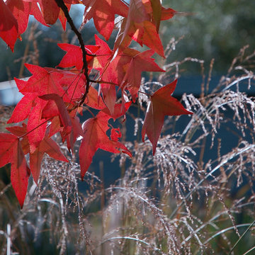 The Inclusive Garden, October 2013