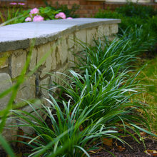 Garden and Yard