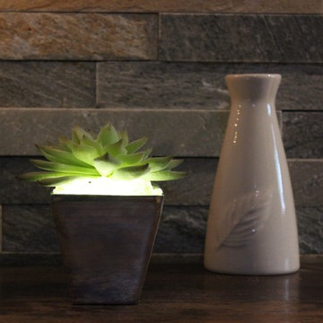 Lumiere - Illuminated Succulent, Agave in Tapered Aluminum