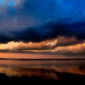 Kathy Sharp's photo