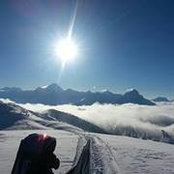 Travis Mercereau's photo