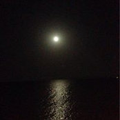 Sonia Bejaoui's photo