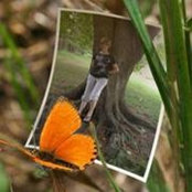 DeLane Sharp's photo