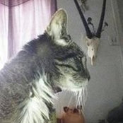 Stephanie Vanata's photo