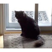 Sylvie Lépine's photo