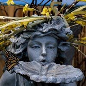 Foto de Harriet Ostrow
