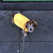 Agneta Lindman's photo