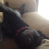 Kristen Kroening's photo