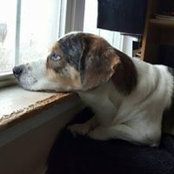 Daniel Varga's photo