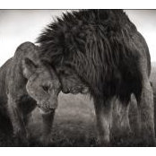 Cyrille Guyot's photo
