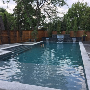 Backyard Renovation
