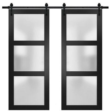 Double Barn Door 56 x 80 Frosted Glass, Lucia 2552 Matte Black, 13FT