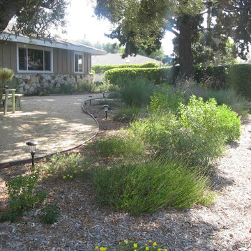 Earth Friendly Santa Ana Garden