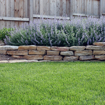 Residential Backyard Redesign