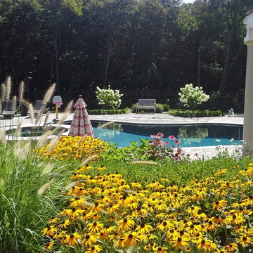 Pools and Spas