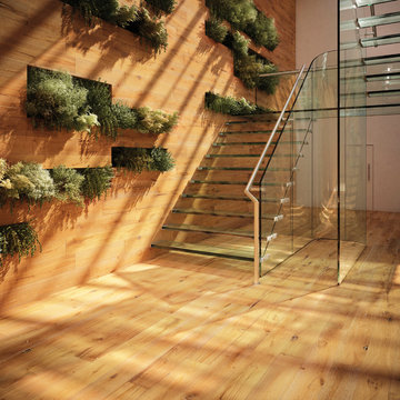 Divine Dream Spaces
