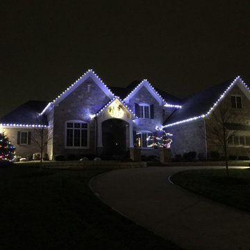 LED Christmas lighting