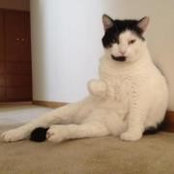 Nikki Lawler's photo