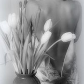 Foto von Elena Levchenko