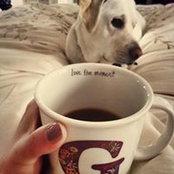 Caroline Hill's photo