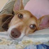 Debbie Wooley-Mendenhall's photo