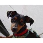 Tracy Morris's photo