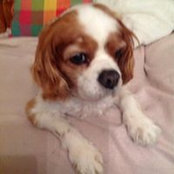 Brenda Carmichael's photo