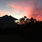Ellen Bradley-Willis's photo