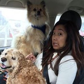 Stephanie Choi's photo