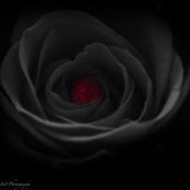 Daniel Mccullough's photo