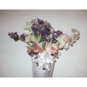 Cindy Johnson's photo