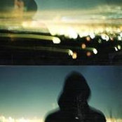 Alexandre Williamsさんの写真