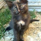 Foto de Janja Karner
