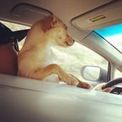 Greg Moreno's photo