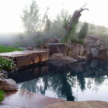 Pools, custom waterfall, seating area, and ropeswing