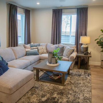 Basement Living Space Transformation
