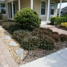 Front yard