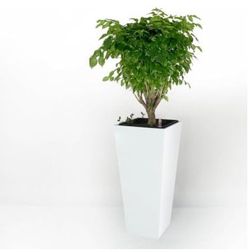 Catleza Composite Self-watering Cylinder Square Planter Box - High , White, 11"